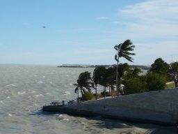 Florida_2007-2008-057